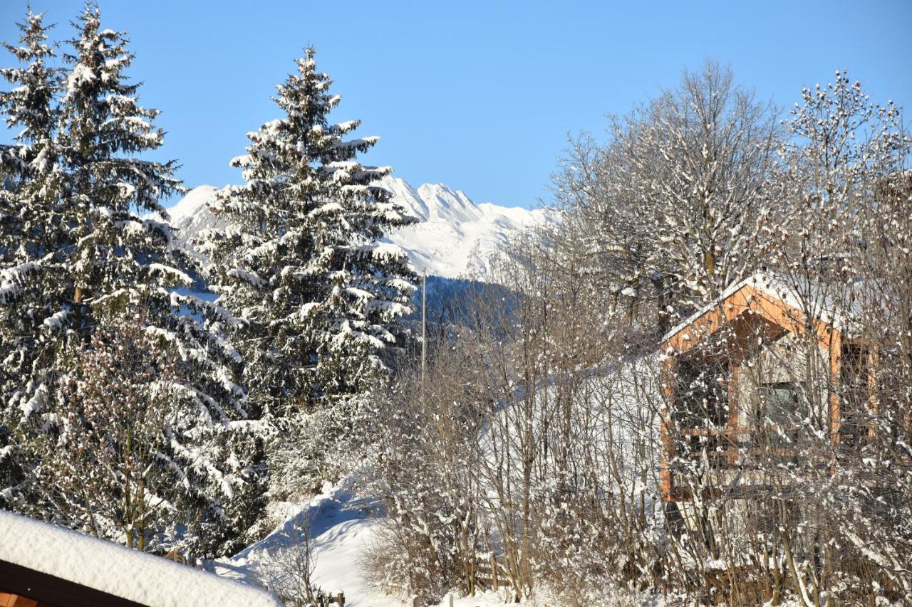 Chalet & Appartement Zingerlehof Trens Campo di Trens Luaran gambar