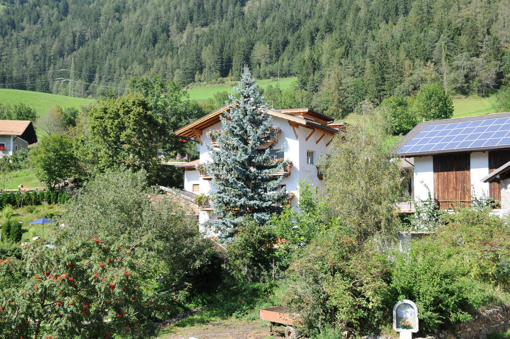 Chalet & Appartement Zingerlehof Trens Campo di Trens Luaran gambar